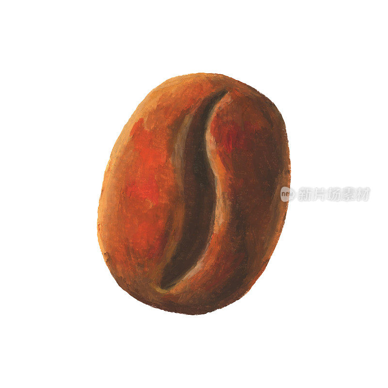 Painting of Coffee Bean